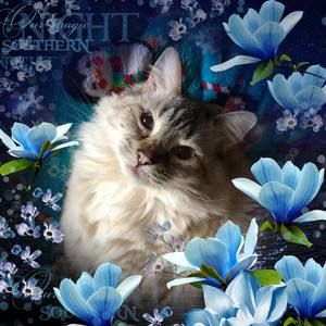 Meet your Posher, Juli